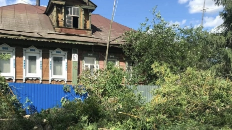 В Красной Горбатке аварийное дерево угрожало падением на дом с 5-ю детьми внутри