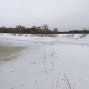 В Петушинском районе спасатели съехались на поиски провалившегося под лед человека