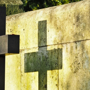 Мэрия Коврова отказалась размещать контейнерную площадку на закрытом кладбище