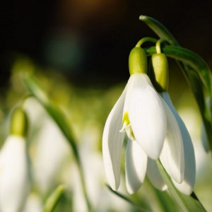 Перерасчет коммуналки и ПДД для самокатов. Что изменится в жизни владимирцев в марте