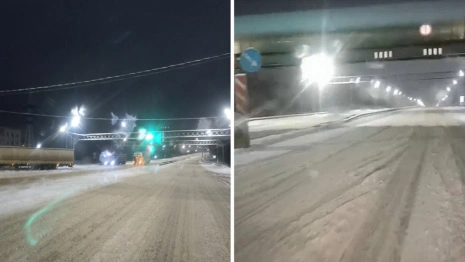 Пекинка во Владимире превратилась в один большой сугроб