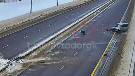 Появились подробности ДТП с вылетевшем на ходу пассажиром на М-12 под Владимиром