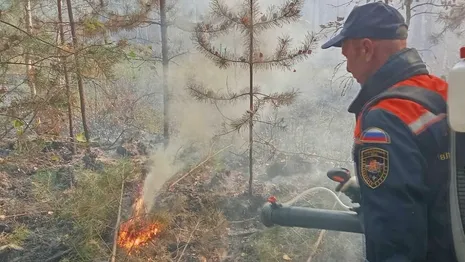 Запах гари из-за лесного пожара в Камешковском районе дошел до Коврова