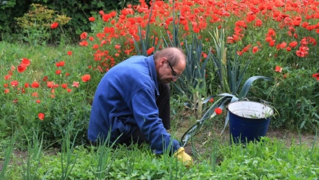 Во Владимире огородами в Семязино пожертвуют ради ремонта аэродрома 