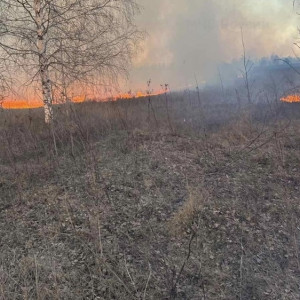 Во Владимирской области около деревни загорелись 50 гектаров сухой травы