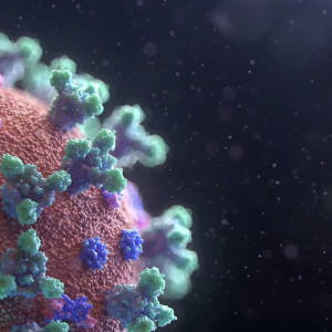 Во Владимирской области подтвердили 84 случая ковида за неделю