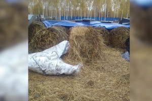 Во Владимирской области пропавшего 8-летнего мальчика нашли спящим в стоге сена 