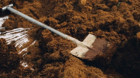 Во Владимирской области раскрыли убийство 15-летней давности