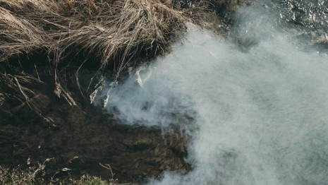 В реке под Муромом массово погибла рыба