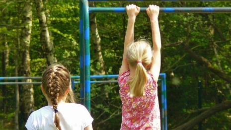 Во Владимире мужчина развратил четверых школьников на детской площадке