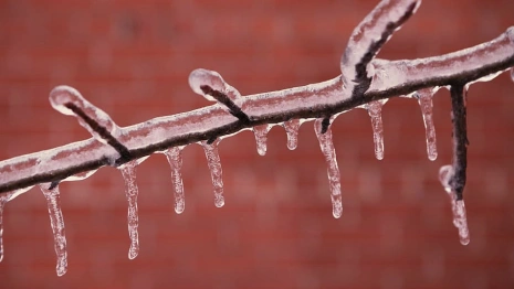 Прогноз погоды во Владимирской области на 9 декабря