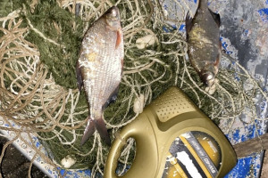 Владимирские полицейские задержали браконьера из Нижегородской области