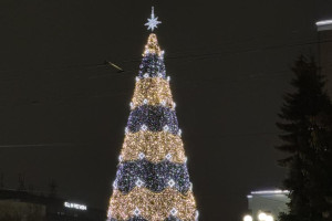 Во Владимире поставили новогоднюю ель у облсуда