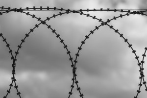 Во Владимире будут судить организаторов нарколаборатории в селе под Юрьев-Польским