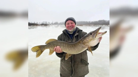 Житель Владимира поймал 6-килограммовую щуку в Ивановской области