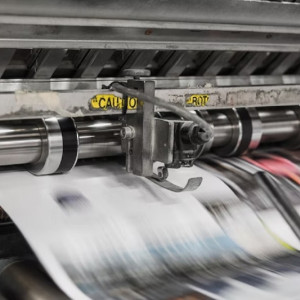 Скандал с предложившей «погавкать» суздальской чиновницей вышел на федеральный уровень