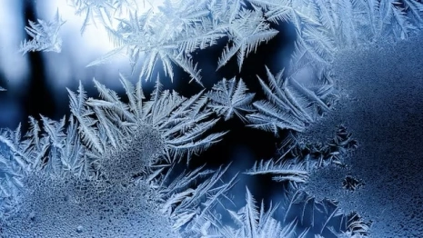 Павел Ледостав: что нужно сделать 19 ноября, чтобы избежать бедности