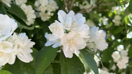 Во Владимирскую область придут дожди и 23-градусная жара