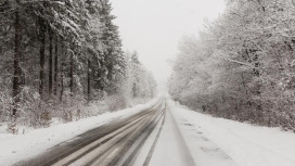 МЧС предупредило владимирцев о метели и урагане 20 февраля