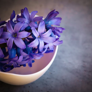 Прогноз погоды во Владимире и области на 30 апреля 2024 года