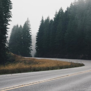 Во Владимирской области планируют отремонтировать еще 4 моста