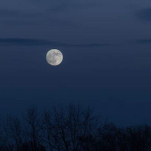 В конце августа во Владимирской области похолодает до +7