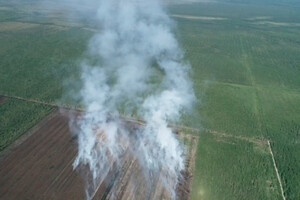 Во Владимирской области потушили все 6 лесных пожаров