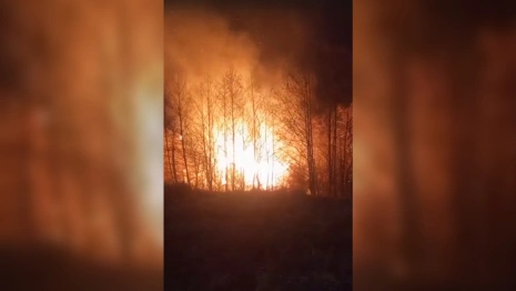 На окраине Владимира вспыхнули дачи