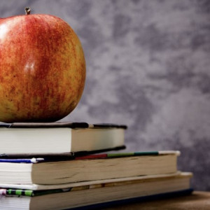 Во Владимирской области заговорили об отмене второй смены для школьников