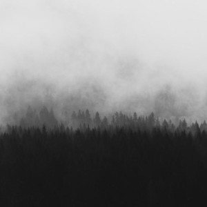 Прогноз погоды во Владимире и области на 18 октября 2025 года