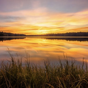 Стали известны подробности об утонувшем во Владимире 15-летнем мальчике