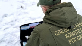 В Гусь-Хрустальном мужчина избил до смерти старого знакомого