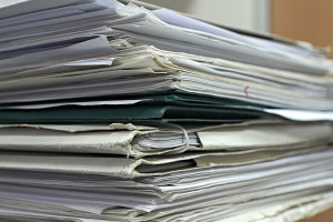 Во Владимире директор спортивного корпуса ВлГУ пойдет под суд за фантомное трудоустройство