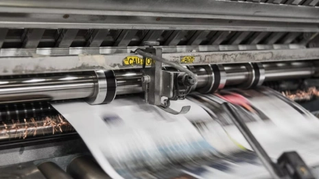 Скандал с предложившей «погавкать» суздальской чиновницей вышел на федеральный уровень