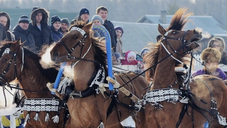 Во Владимирской области состоится фестиваль русской тройки
