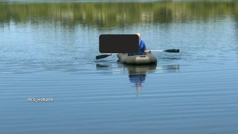 На озере Гидромуть в Коврове всплыл труп человека