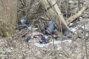 На улице Трудовой в Муроме выросла стихийная свалка