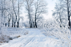 Прогноз погоды на 2 января во Владимирской области