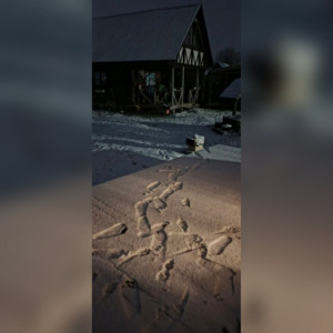 Во Владимирской области первый снег выпал 1 ноября