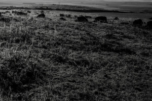 Пропавшего в Муроме мужчину в черной куртке нашли мертвым