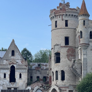 Во Владимирской области создадут турмаршрут к усадьбе Храповицкого