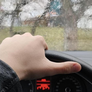 Во Владимирской области автошколы начнут оценивать на законодательном уровне