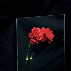 Пропавшую месяц назад 69-летнюю жительницу Кольчугино нашли мертвой