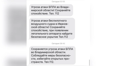 В ночь на 4 ноября во Владимирской области объявили угрозу атаки БПЛА