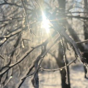 Синоптики напомнили владимирцам о потеплении в выходные