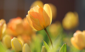 Прогноз погоды во Владимире и области на 23 марта 2026 года