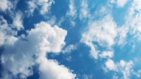 Прогноз погоды во Владимирской области на 21 августа