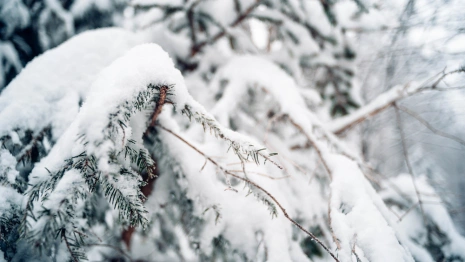 Прогноз погоды во Владимирской области на 24 февраля