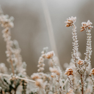 Прогноз погоды во Владимирской области на 25 января