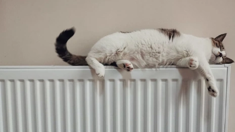 Во Владимире тепло дали в 84 садах и 11 школах